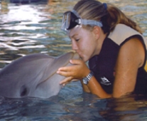 ISLE Info background for sealand gift kits